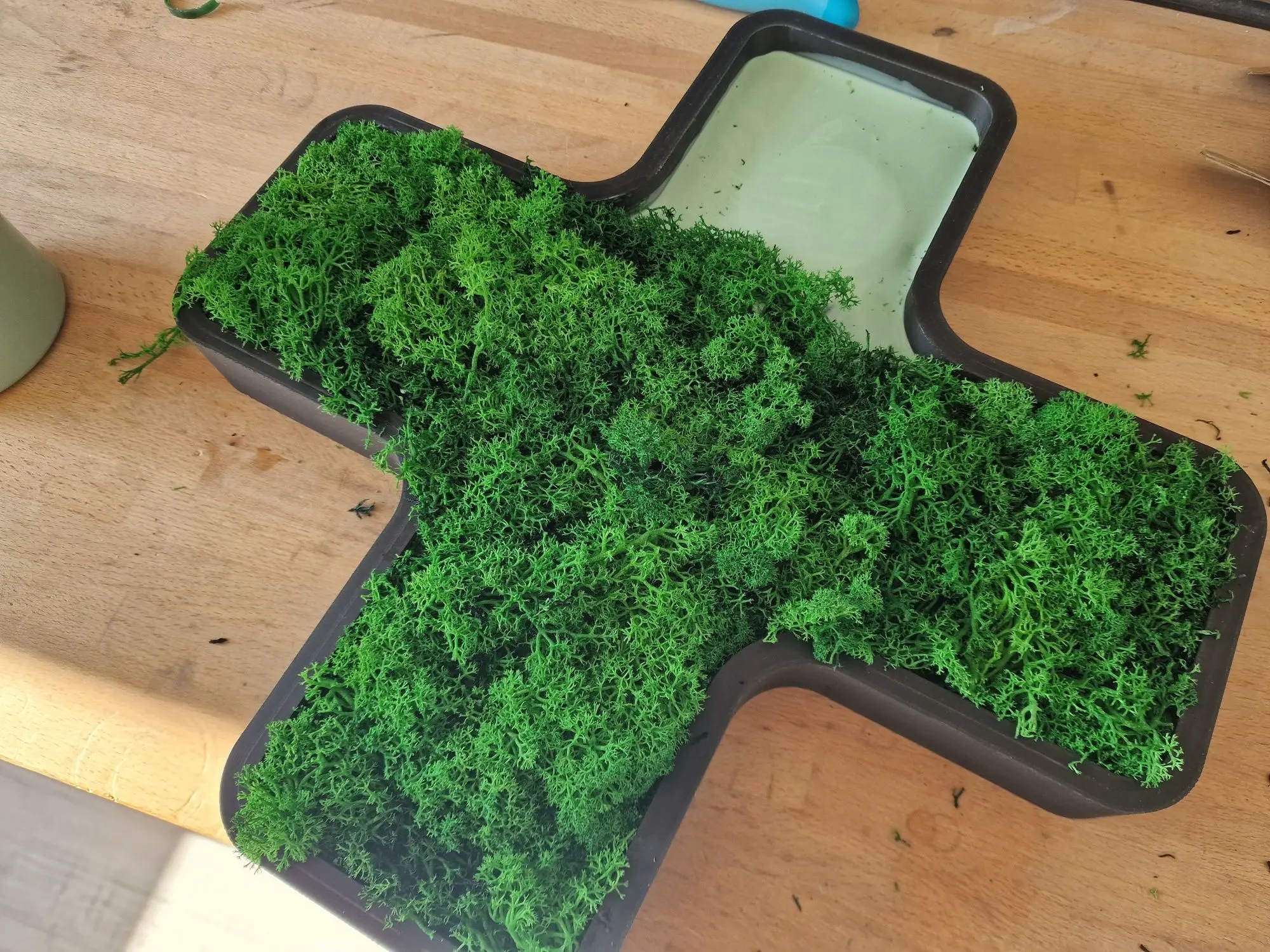 Decurative and great moss project in the shape of an X or + 3D модели