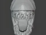 Alien head without eyes-0