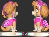 Skye PAW Patrol-5