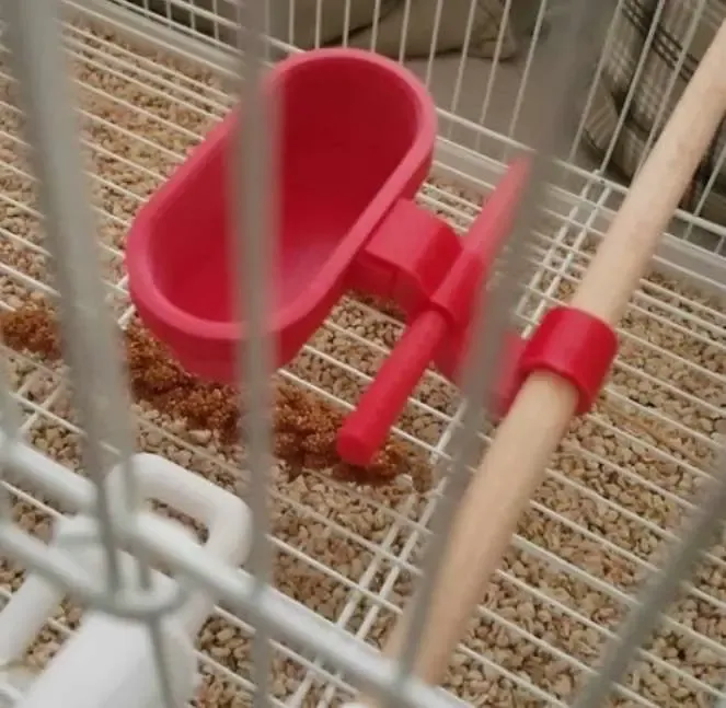 Kuş kafesi mama kabı