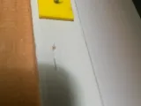 Esposizione del disco-1