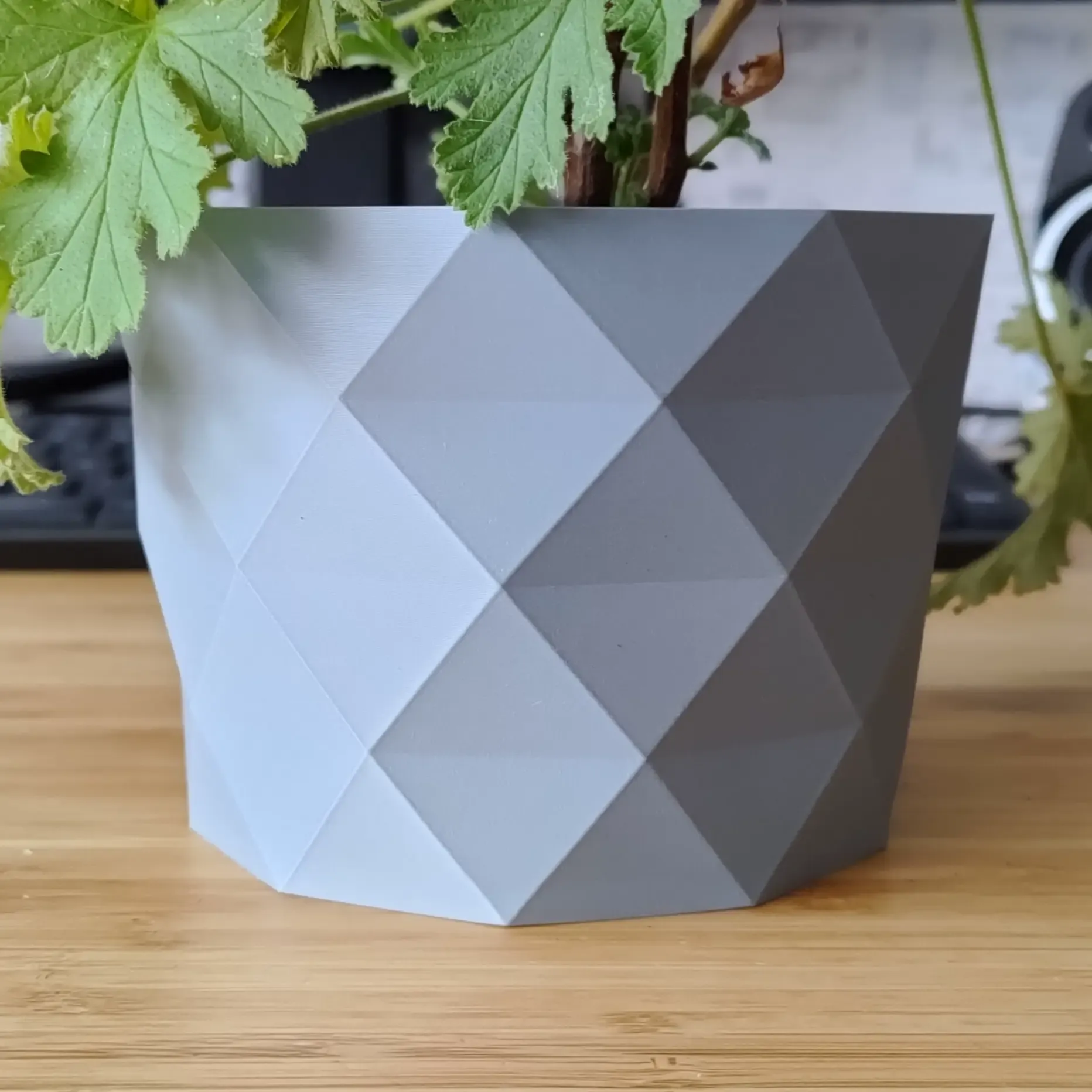GeoStone Plant pot and Planter - Vase mode design