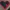 ❤️ Test of Love – Extreme Valentine’s Heart Puzzle ❤️