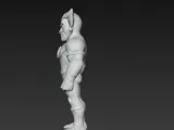 Tygra-4