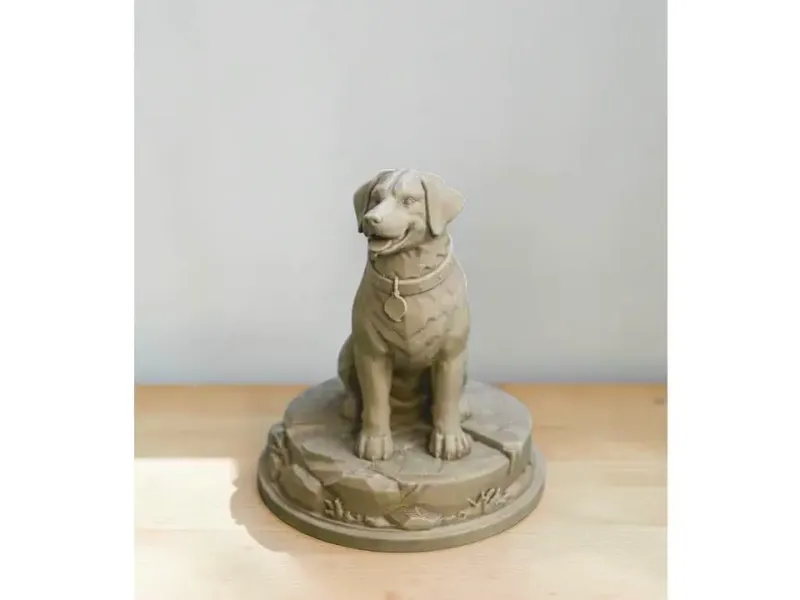 Dog standing