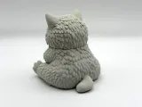 Grumpy Fluff Kitten-4