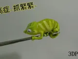 Chameleon (Nylon filament)-0