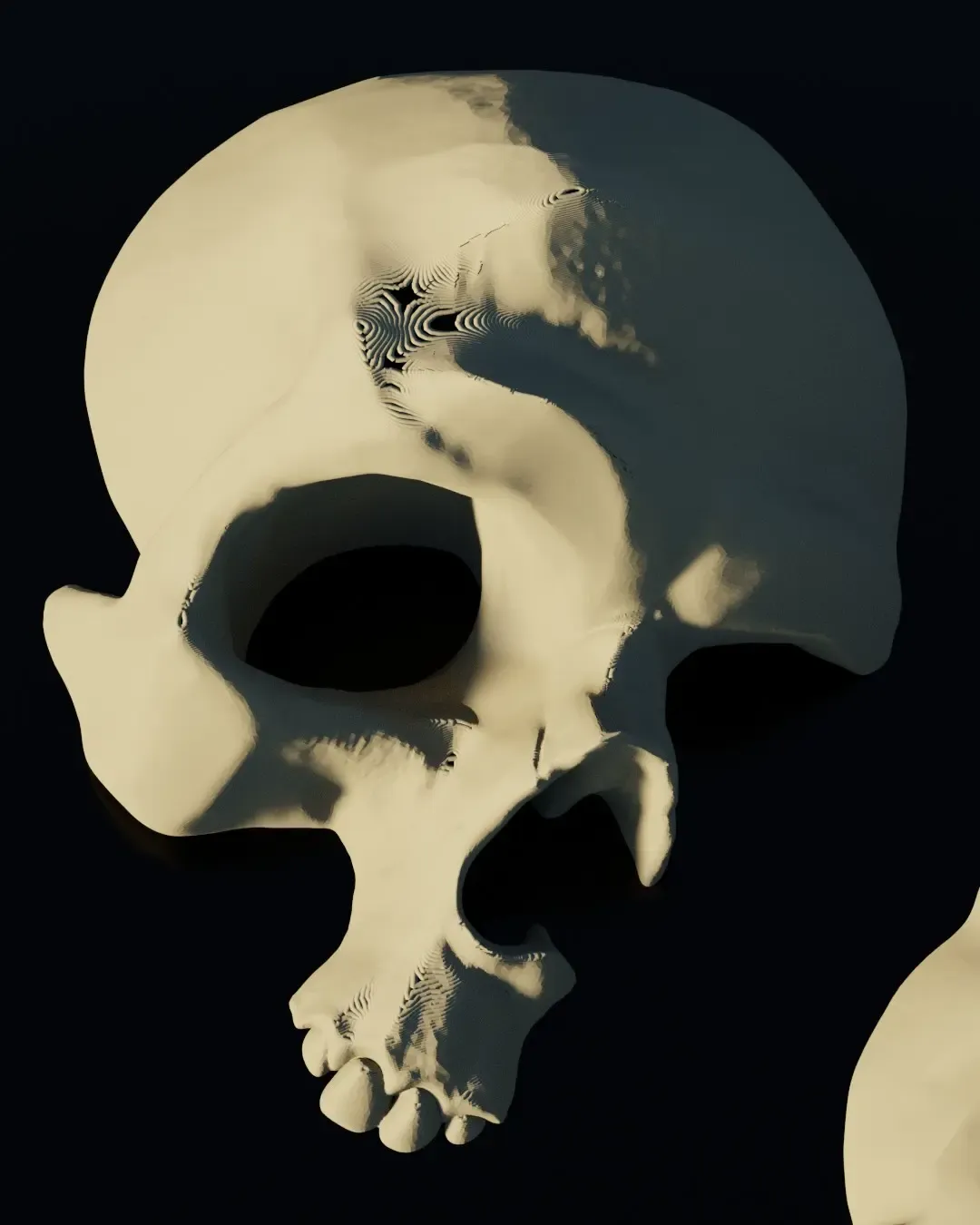 Skull for walls