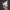 Celebi Shiny Form