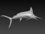 print ready realistic swordfish model-1