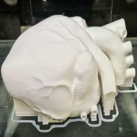 Capacitive Pulsing Heart