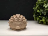 Low Poly Sleeping Hedgehog-1