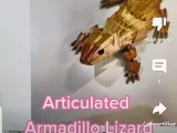 armadillo lizard / lagarto tatu-0