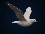 Mouette-0
