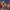 Vultureman Figure Thundercats