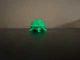 Snapping Turtle-4