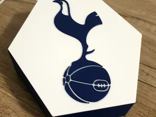 Tottenham Hotspur Lamp