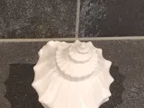 Shell Decor-4