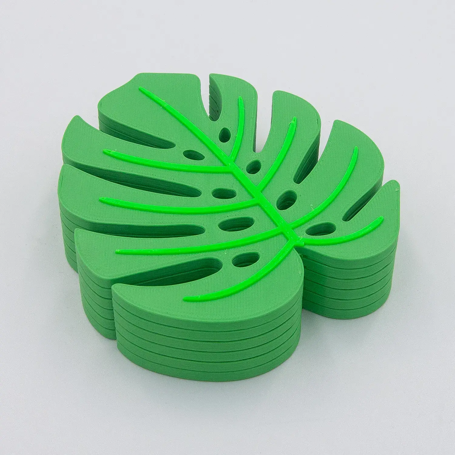 Monstera Coaster