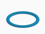 Swiss Ball Storage Ring-0