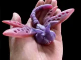 Dragonight The Dragonfly-3