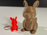 Cute Kangaroo-0