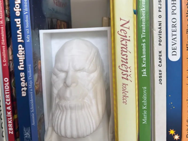 Thanos_Book-Nook