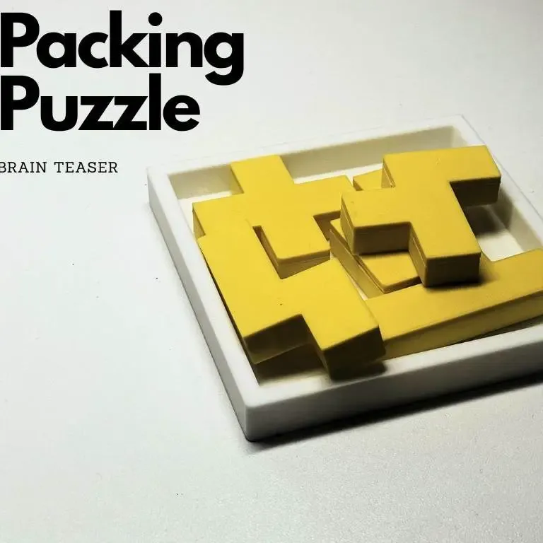 Packing Puzzle – 3D Printed Classic