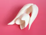 Tulip-3