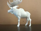 Moose-0
