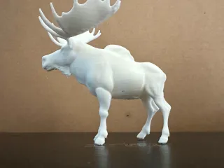 Moose