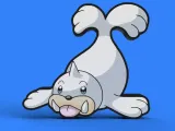 Seel Lightbox-1