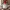 Santa Claus Christmas ornament