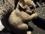 squirrel eating a nut-1