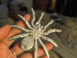 Cyber Tarantula-5