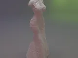 Pot Qi Pao à la mode traditionnelle chinoise-1
