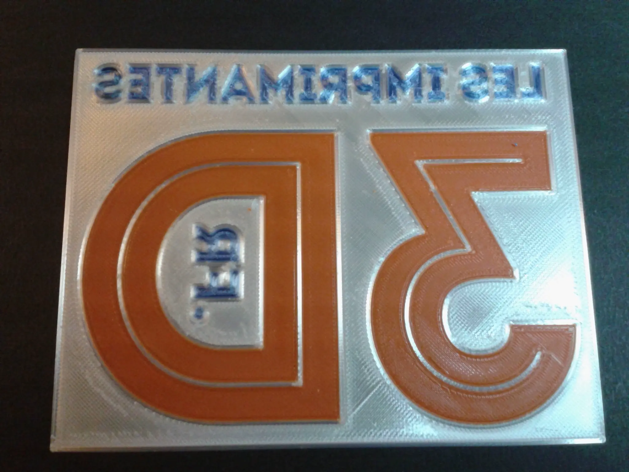 logo lesimprimantes3d.fr essai 04 (scindable Multi Couleur)