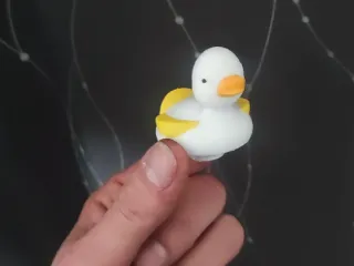 Duck Croc Charm