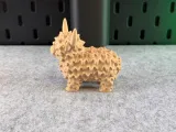 Highland Cow-8