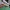 Cecchino giocattolo TF2 | File STL per stampa 3D | Prop