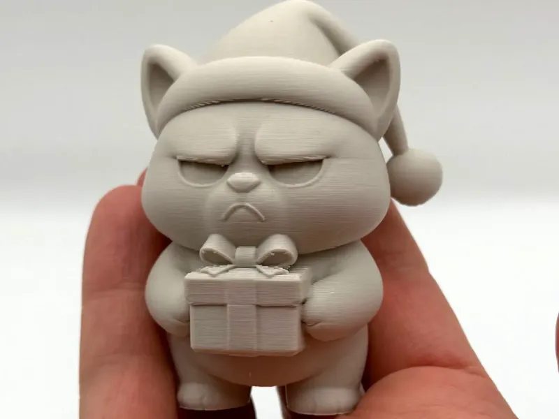 Gattino Scontroso con Regalo