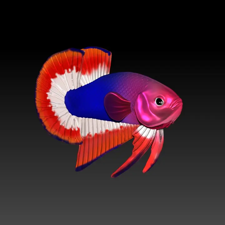 BETTA FISH 2