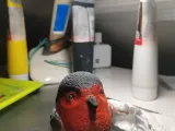 Bird statue-1