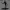 SEEK ROBLOX DOORS | فن المعجبين | BGGT