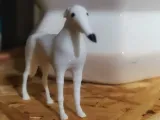 Borzoi dog_Meme-1