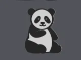 Panda - Earring & Pendant-1