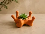 Organic Crown Succulent Planter-1