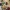 Christmas Surprise Hand – Festive Monster Hand - NO AMS -
