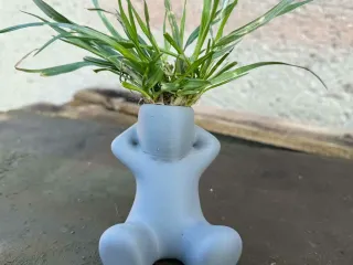 Stick figure as a flower pot