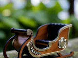 Miniature Sleigh-1